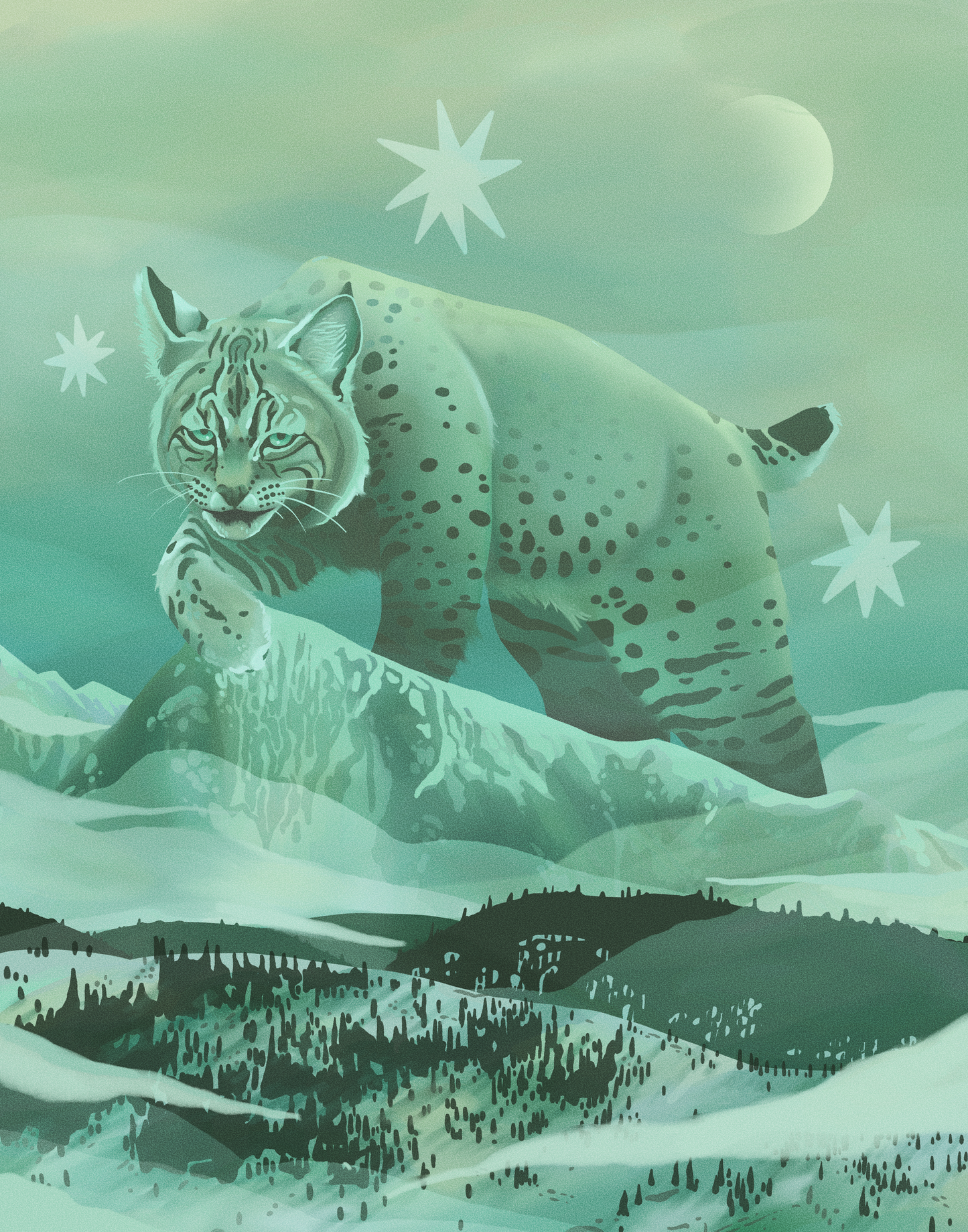 Starlit Bobcat Print