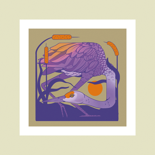 Sandhill Crane Print