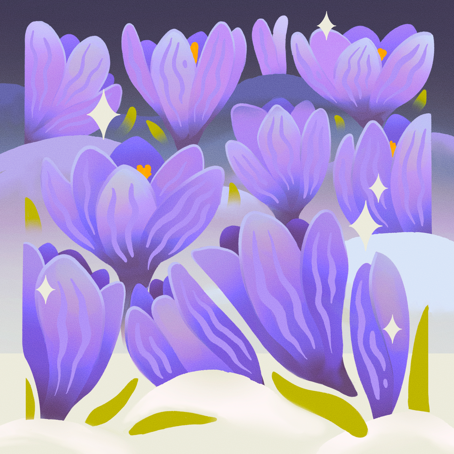 Crocus in Frost Print
