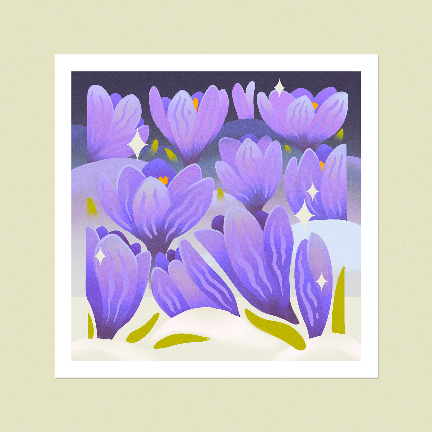 Crocus in Frost Print