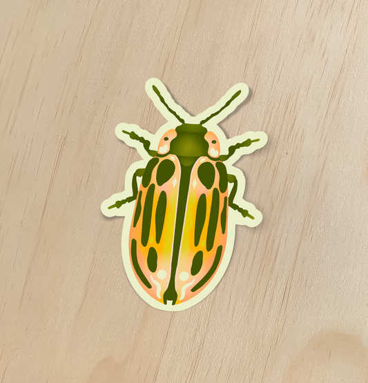 Cottonwood Beetle Sticker