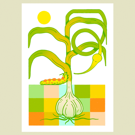 Summertime Garlic Print