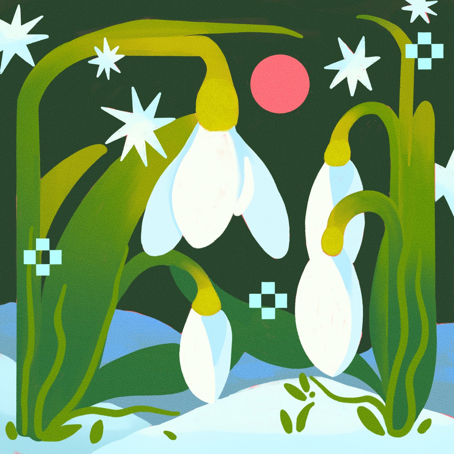 Snowdrops in Spring Print