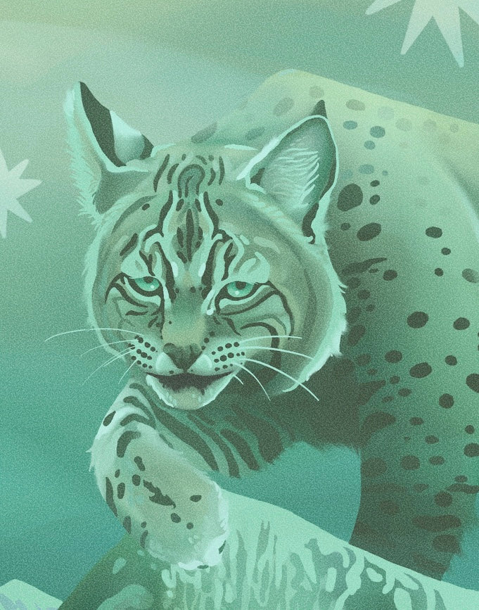 Starlit Bobcat Print